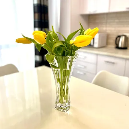 Osapart Vip New Point By Great Britain 公寓 *