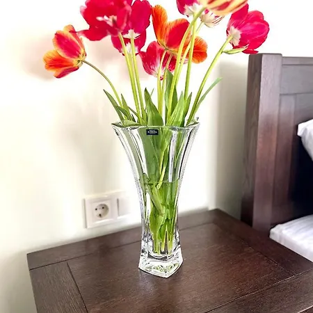 Appartement Osapart Vip New Point By Great Britain