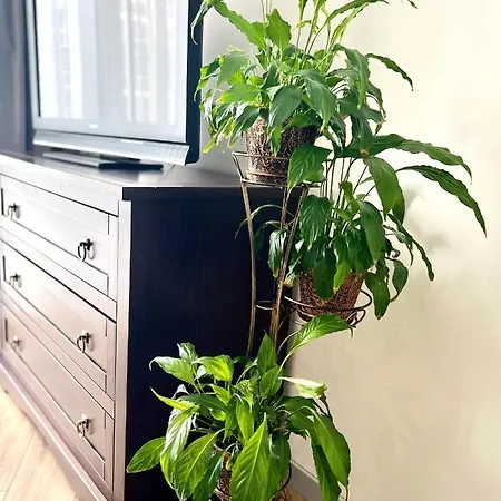 Apartamento Osapart Vip New Point By Great Britain