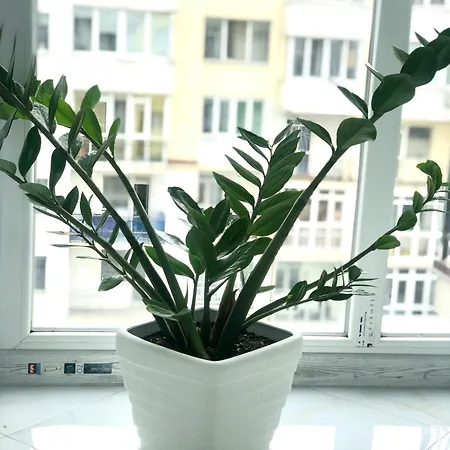 Apartament Osapart Vip New Point By Great Britain Lwów