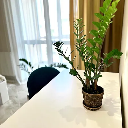 Osapart Vip New Point By Great Britain * Lviv