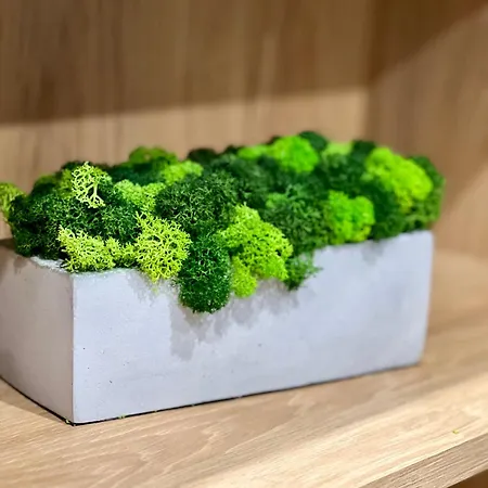 Apartamento Osapart Vip New Point By Great Britain *