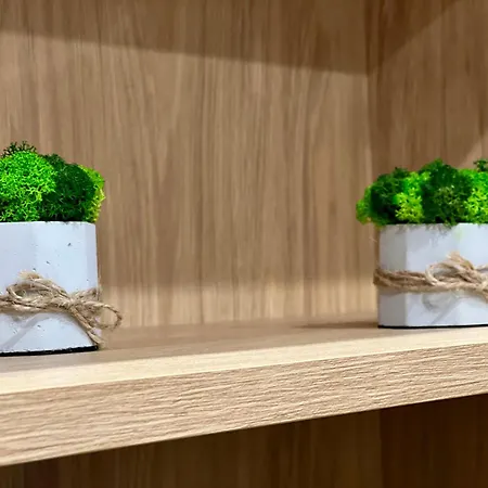 Osapart Vip New Point By Great Britain * Lviv