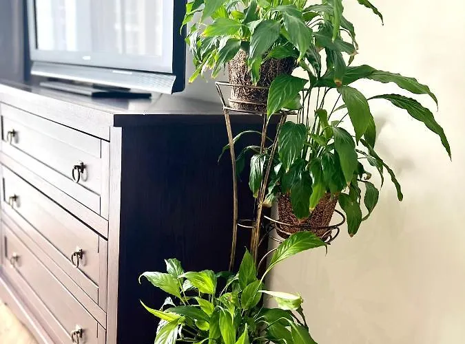 Apartamento Osapart Vip New Point By Great Britain