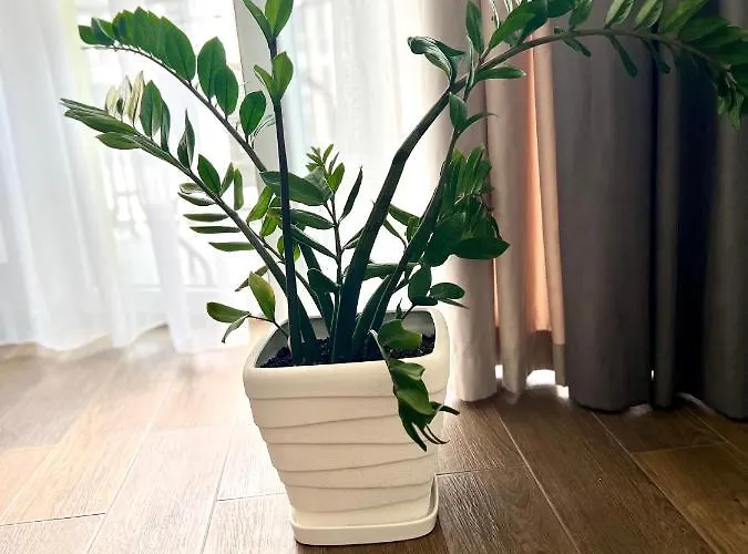 Osapart Vip New Point By Great Britain Апартаменты Львов