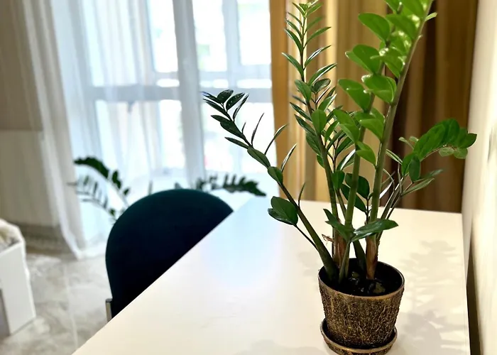 Osapart Vip New Point By Great Britain * Leópolis