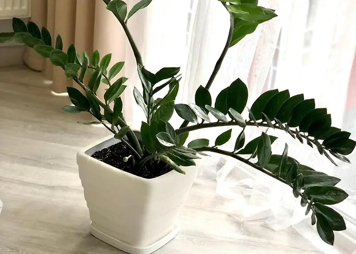 Апартаменты Osapart Vip New Point By Great Britain *