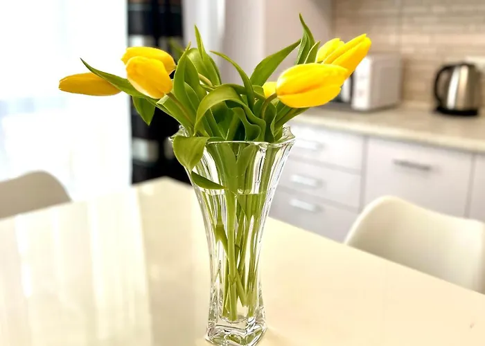 Osapart Vip New Point By Great Britain Daire *