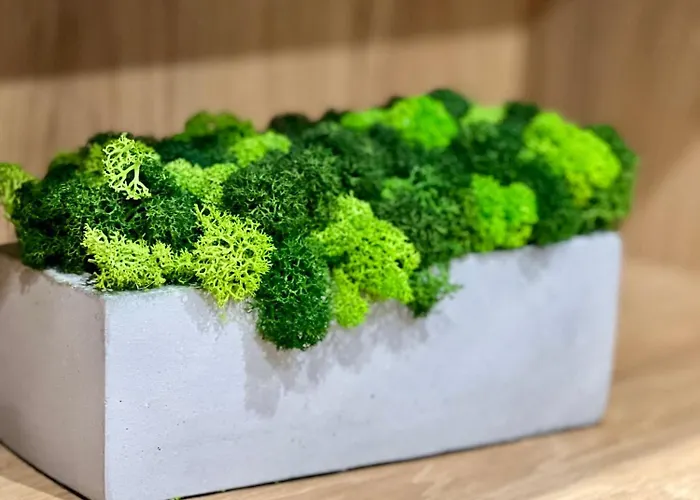 Apartamento Osapart Vip New Point By Great Britain *