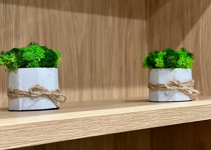 Osapart Vip New Point By Great Britain * Львов